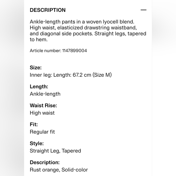 NWT H&M Lyocell-Blend Pants, Size L, Rust Orange - Picture 2 of 10